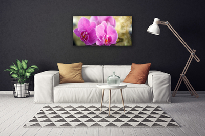 Canvas Wall art Flowers floral pink