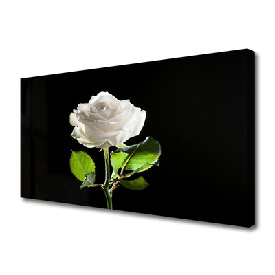 Canvas Wall art Rose floral white