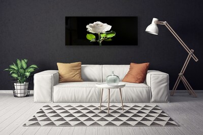 Canvas Wall art Rose floral white