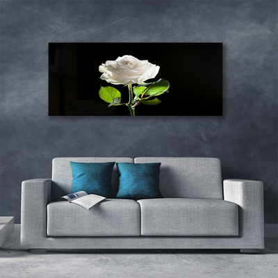 Canvas Wall art Rose floral white