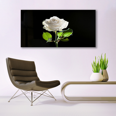 Canvas Wall art Rose floral white