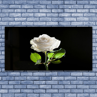 Canvas Wall art Rose floral white