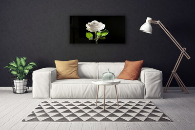 Canvas Wall art Rose floral white