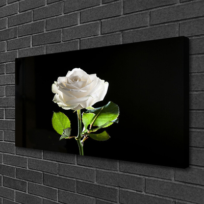 Canvas Wall art Rose floral white