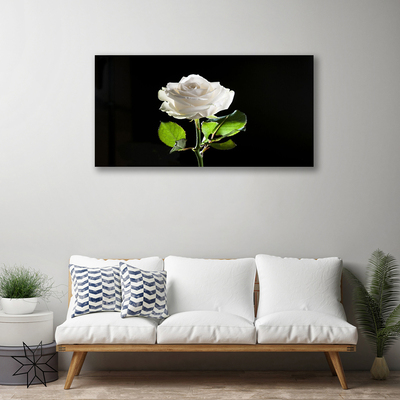 Canvas Wall art Rose floral white