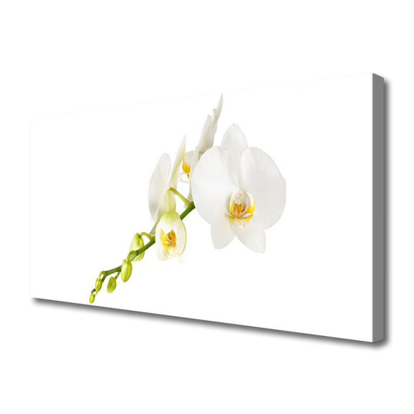 Canvas Wall art Flowers floral white