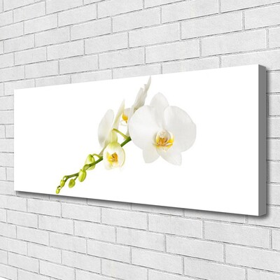 Canvas Wall art Flowers floral white