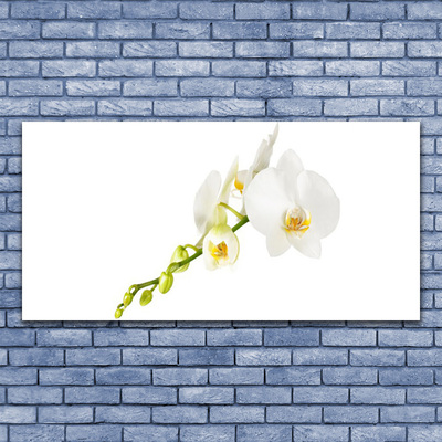 Canvas Wall art Flowers floral white