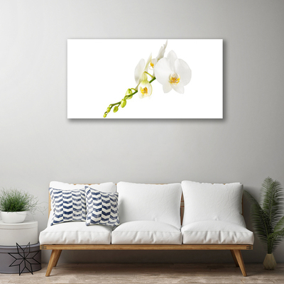 Canvas Wall art Flowers floral white