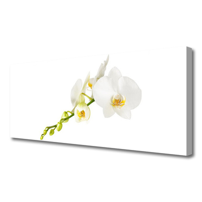 Canvas Wall art Flowers floral white