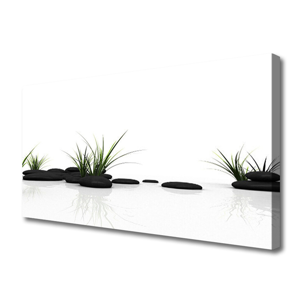 Canvas Wall art Grass stones art black green