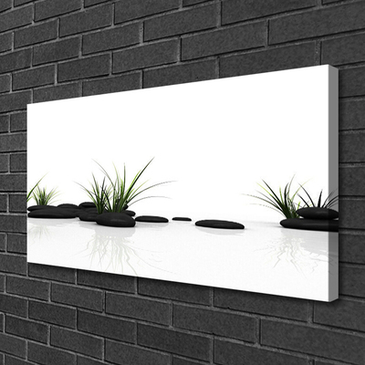 Canvas Wall art Grass stones art black green