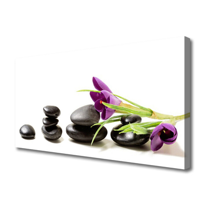 Canvas Wall art Flower stones art black pink green