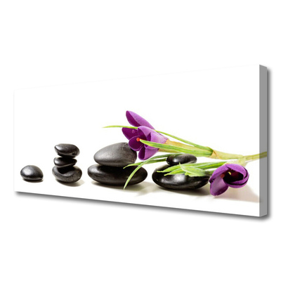 Canvas Wall art Flower stones art black pink green