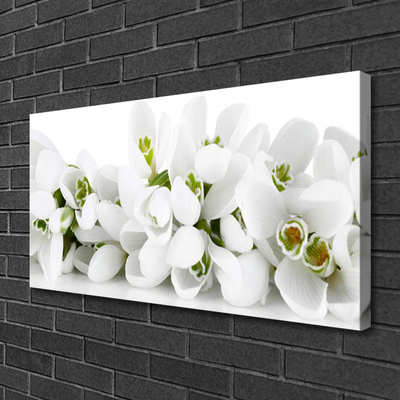 Canvas Wall art Flowers floral white green