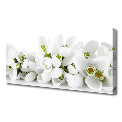 Canvas Wall art Flowers floral white green