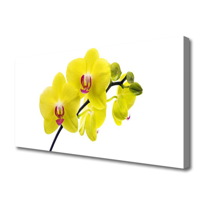 Canvas Wall art Flowers floral green