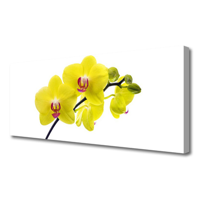 Canvas Wall art Flowers floral green