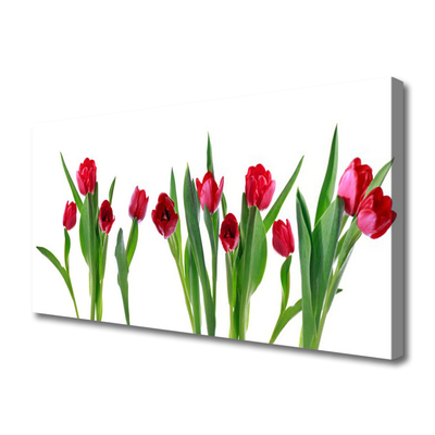 Canvas Wall art Tulips floral red