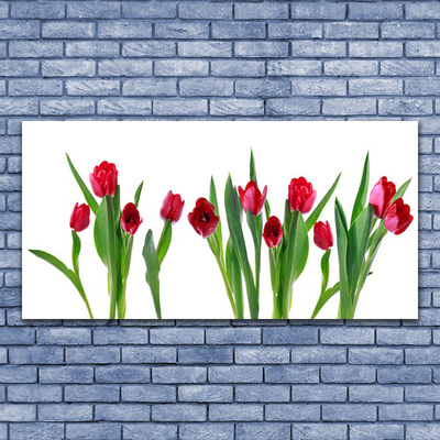 Canvas Wall art Tulips floral red