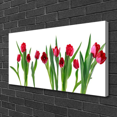 Canvas Wall art Tulips floral red