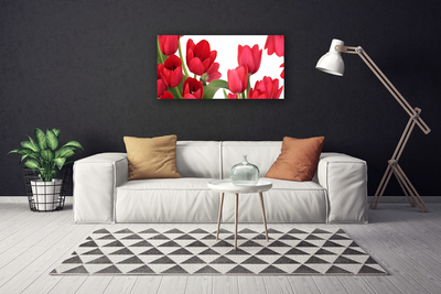 Canvas Wall art Tulips floral red