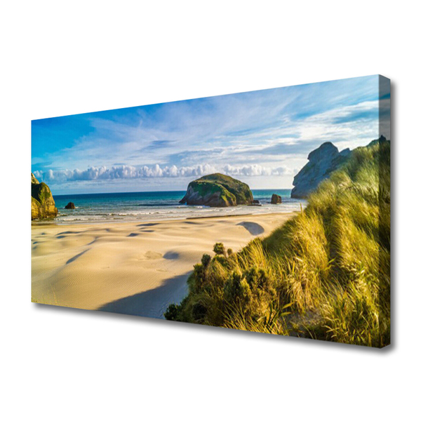 Canvas Wall art Beach rocks landscape brown grey green