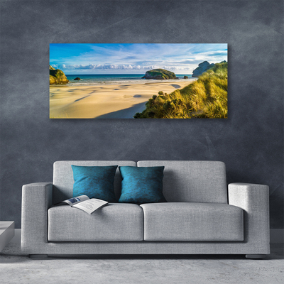 Canvas Wall art Beach rocks landscape brown grey green