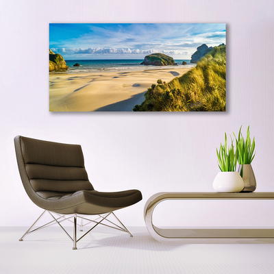 Canvas Wall art Beach rocks landscape brown grey green