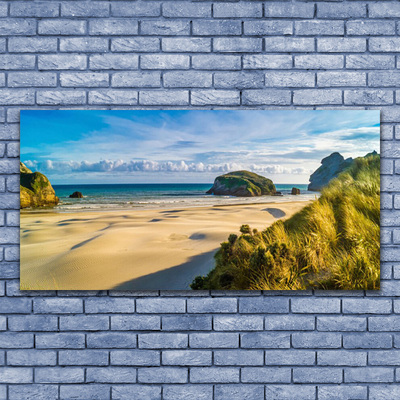 Canvas Wall art Beach rocks landscape brown grey green