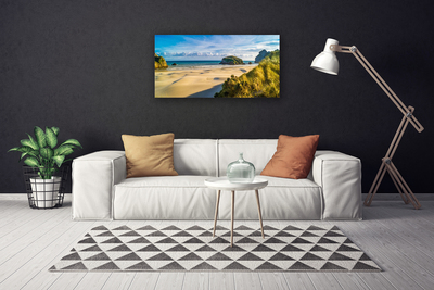 Canvas Wall art Beach rocks landscape brown grey green