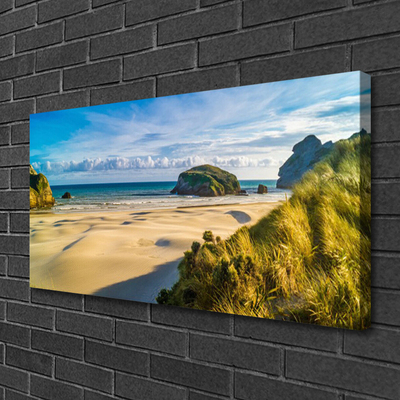 Canvas Wall art Beach rocks landscape brown grey green