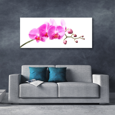 Canvas Wall art Flowers floral pink