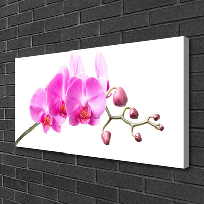 Canvas Wall art Flowers floral pink