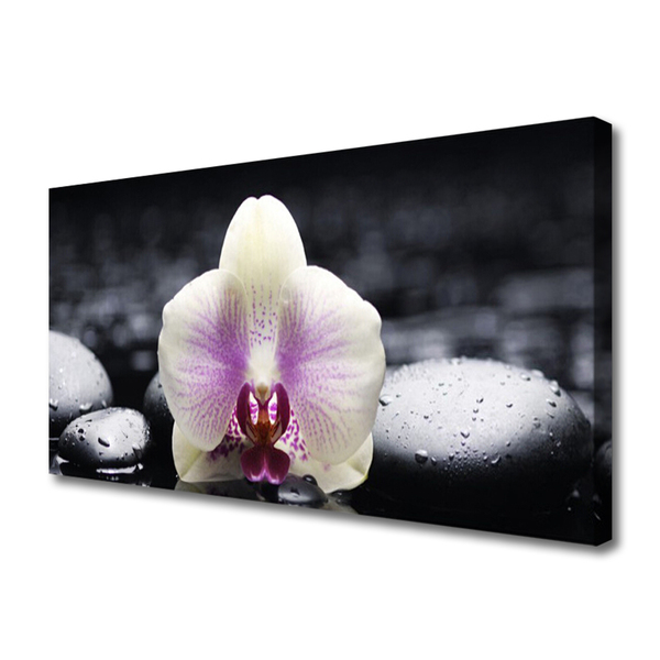 Canvas Wall art Flower stones floral pink white black