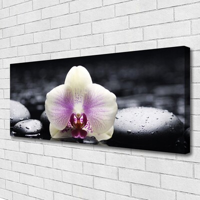 Canvas Wall art Flower stones floral pink white black