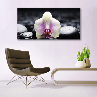 Canvas Wall art Flower stones floral pink white black