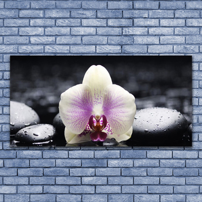 Canvas Wall art Flower stones floral pink white black