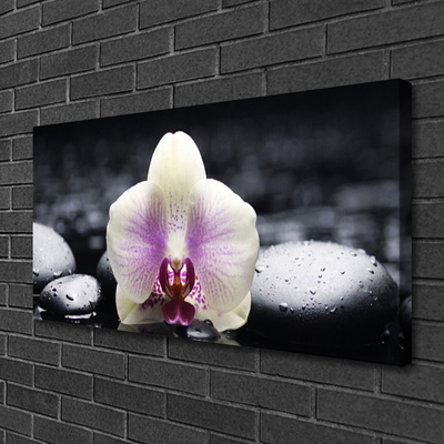 Canvas Wall art Flower stones floral pink white black