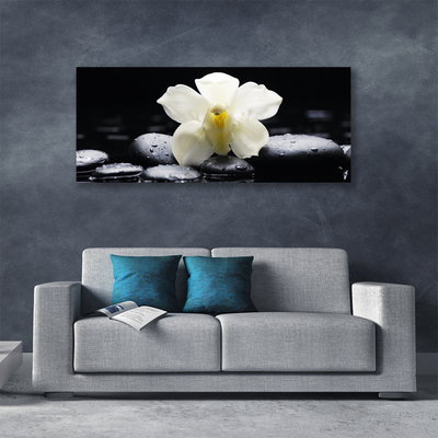 Canvas Wall art Flower stones floral white black