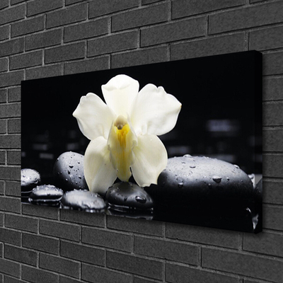 Canvas Wall art Flower stones floral white black