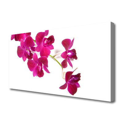 Canvas Wall art Flowers floral red