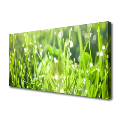 Canvas Wall art Grass nature green