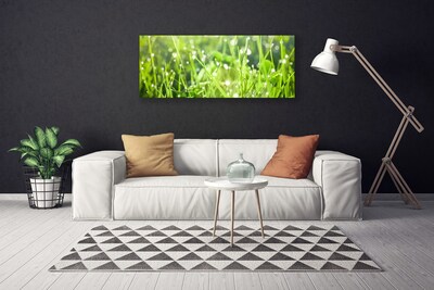 Canvas Wall art Grass nature green