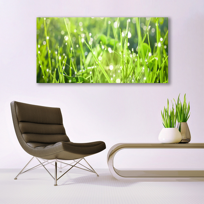 Canvas Wall art Grass nature green