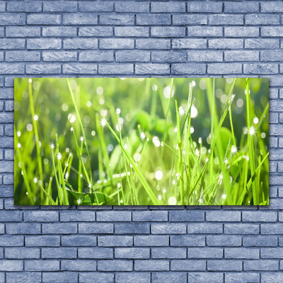 Canvas Wall art Grass nature green