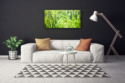 Canvas Wall art Grass nature green