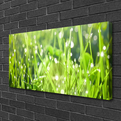 Canvas Wall art Grass nature green