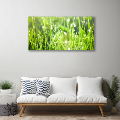 Canvas Wall art Grass nature green