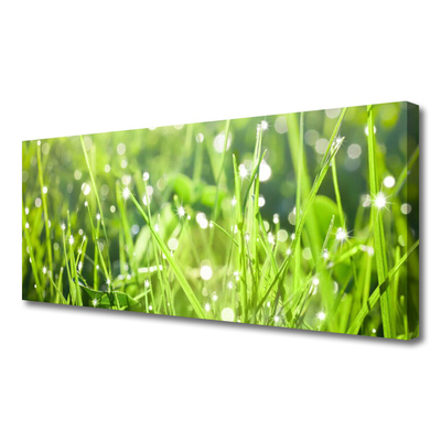 Canvas Wall art Grass nature green